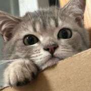 ヒメ日記 2025/11/27 20:48 投稿 アクア 上野ハンドメイド