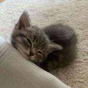 ヒメ日記 2025/11/29 17:12 投稿 アクア 上野ハンドメイド