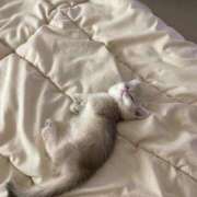 アクア 16:00~❣️ 上野ハンドメイド