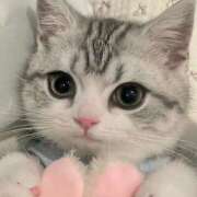 ヒメ日記 2025/12/08 09:17 投稿 アクア 上野ハンドメイド