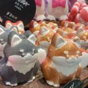 ヒメ日記 2025/11/18 15:45 投稿 ギョライ 【福岡デリヘル】20代・30代★博多で評判のお店はココです！