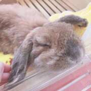 ヒメ日記 2025/10/06 12:53 投稿 ほのか 池袋角海老