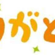 ヒメ日記 2025/11/19 11:04 投稿 ほのか 池袋角海老