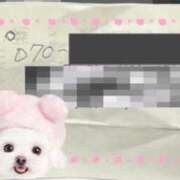 ヒメ日記 2025/11/03 14:42 投稿 ひめか ニューヨークニューヨーク