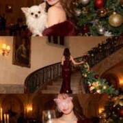 ヒメ日記 2025/12/18 18:06 投稿 ひかる【SS級神様の気まぐれ】 STELLA TOKYO－ステラトウキョウ－