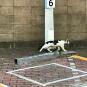 ヒメ日記 2025/07/03 23:51 投稿 あずさ先生 DANDY BODY