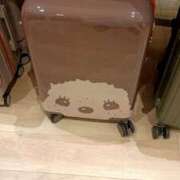 ヒメ日記 2025/10/09 14:21 投稿 あずさ先生 DANDY BODY