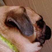 ヒメ日記 2025/10/19 21:24 投稿 あずさ先生 DANDY BODY