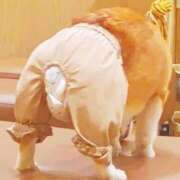 ヒメ日記 2025/10/20 11:10 投稿 あずさ先生 DANDY BODY