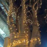 ヒメ日記 2025/12/05 08:03 投稿 あずさ先生 DANDY BODY