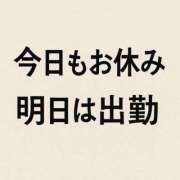 ヒメ日記 2025/12/08 09:03 投稿 あずさ先生 DANDY BODY