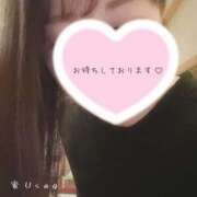 ヒメ日記 2025/07/09 08:12 投稿 月野　うさぎ ソープランド蜜 人妻・美熟女専門店