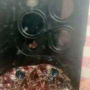 ヒメ日記 2025/11/29 21:20 投稿 りゅう 奥様特急　池袋・大塚店