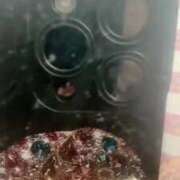 ヒメ日記 2025/11/29 21:22 投稿 りゅう 奥様特急　上野・鶯谷店