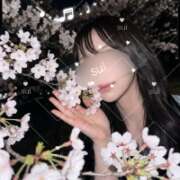 ヒメ日記 2026/05/04 22:00 投稿 すい モアグループ厚木人妻城