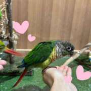 すい 7時間貸切💗 モアグループ厚木人妻城