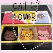 すい 猫ちゃんモチーフ モアグループ厚木人妻城