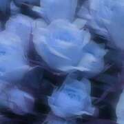 ヒメ日記 2025/07/09 08:34 投稿 ひなた 西川口マーメイド