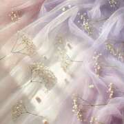 ヒメ日記 2025/08/14 08:21 投稿 ひなた 西川口マーメイド