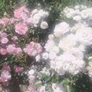 ヒメ日記 2025/08/27 18:27 投稿 ひなた 西川口マーメイド