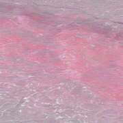 ヒメ日記 2025/08/30 08:22 投稿 ひなた 西川口マーメイド