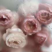 ヒメ日記 2025/09/07 08:20 投稿 ひなた 西川口マーメイド