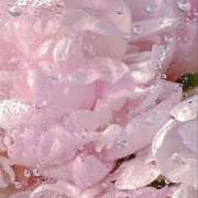 ヒメ日記 2025/09/07 18:36 投稿 ひなた 西川口マーメイド