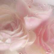 ヒメ日記 2025/09/25 18:05 投稿 ひなた 西川口マーメイド