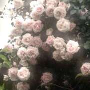 ヒメ日記 2025/10/05 18:33 投稿 ひなた 西川口マーメイド