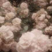 ヒメ日記 2025/10/06 18:30 投稿 ひなた 西川口マーメイド