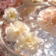 ヒメ日記 2025/10/19 08:20 投稿 ひなた 西川口マーメイド