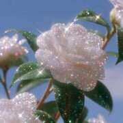 ヒメ日記 2025/10/23 08:20 投稿 ひなた 西川口マーメイド