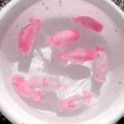 ヒメ日記 2025/11/02 18:16 投稿 ひなた 西川口マーメイド