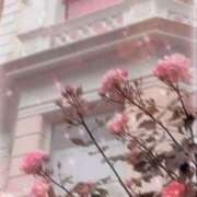 ヒメ日記 2025/11/13 08:19 投稿 ひなた 西川口マーメイド