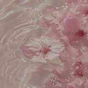 ヒメ日記 2025/11/16 19:31 投稿 ひなた 西川口マーメイド