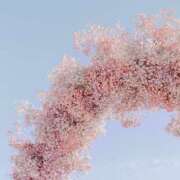 ヒメ日記 2025/11/19 19:05 投稿 ひなた 西川口マーメイド