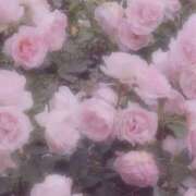 ヒメ日記 2025/11/22 08:18 投稿 ひなた 西川口マーメイド