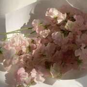 ヒメ日記 2025/12/02 08:18 投稿 ひなた 西川口マーメイド