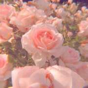 ヒメ日記 2025/12/03 08:20 投稿 ひなた 西川口マーメイド