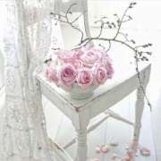 ヒメ日記 2025/12/27 08:18 投稿 ひなた 西川口マーメイド