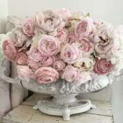 ひなた おはよ(ノ)･ω･(ヾ)⛅️ 西川口マーメイド