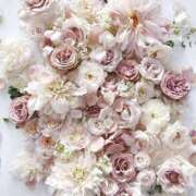 ヒメ日記 2026/01/23 08:17 投稿 ひなた 西川口マーメイド