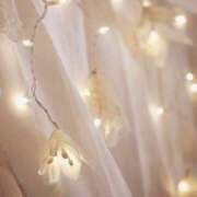 ヒメ日記 2026/01/24 16:58 投稿 ひなた 西川口マーメイド