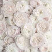 ヒメ日記 2026/02/04 08:17 投稿 ひなた 西川口マーメイド