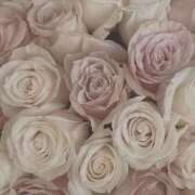 ヒメ日記 2026/02/04 17:10 投稿 ひなた 西川口マーメイド