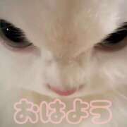 ヒメ日記 2026/02/05 08:19 投稿 ひなた 西川口マーメイド