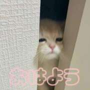 ヒメ日記 2026/02/06 08:19 投稿 ひなた 西川口マーメイド