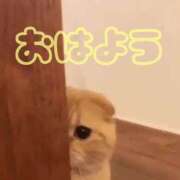 ヒメ日記 2026/02/07 08:17 投稿 ひなた 西川口マーメイド