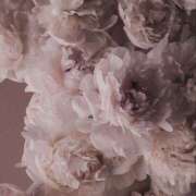 ヒメ日記 2026/02/07 17:21 投稿 ひなた 西川口マーメイド