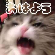 ヒメ日記 2026/02/17 08:20 投稿 ひなた 西川口マーメイド